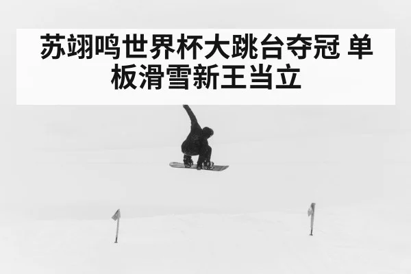 苏翊鸣世界杯大跳台夺冠 单板滑雪新王当立